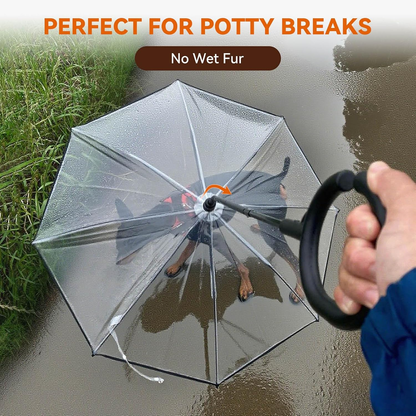 Clear Small Dog Umbrella, Adjustable Leash, Self-Assembly Pet Umbrella for Small Dogs, Keeps Pet Dry for Rainy Walks/Potty Trips